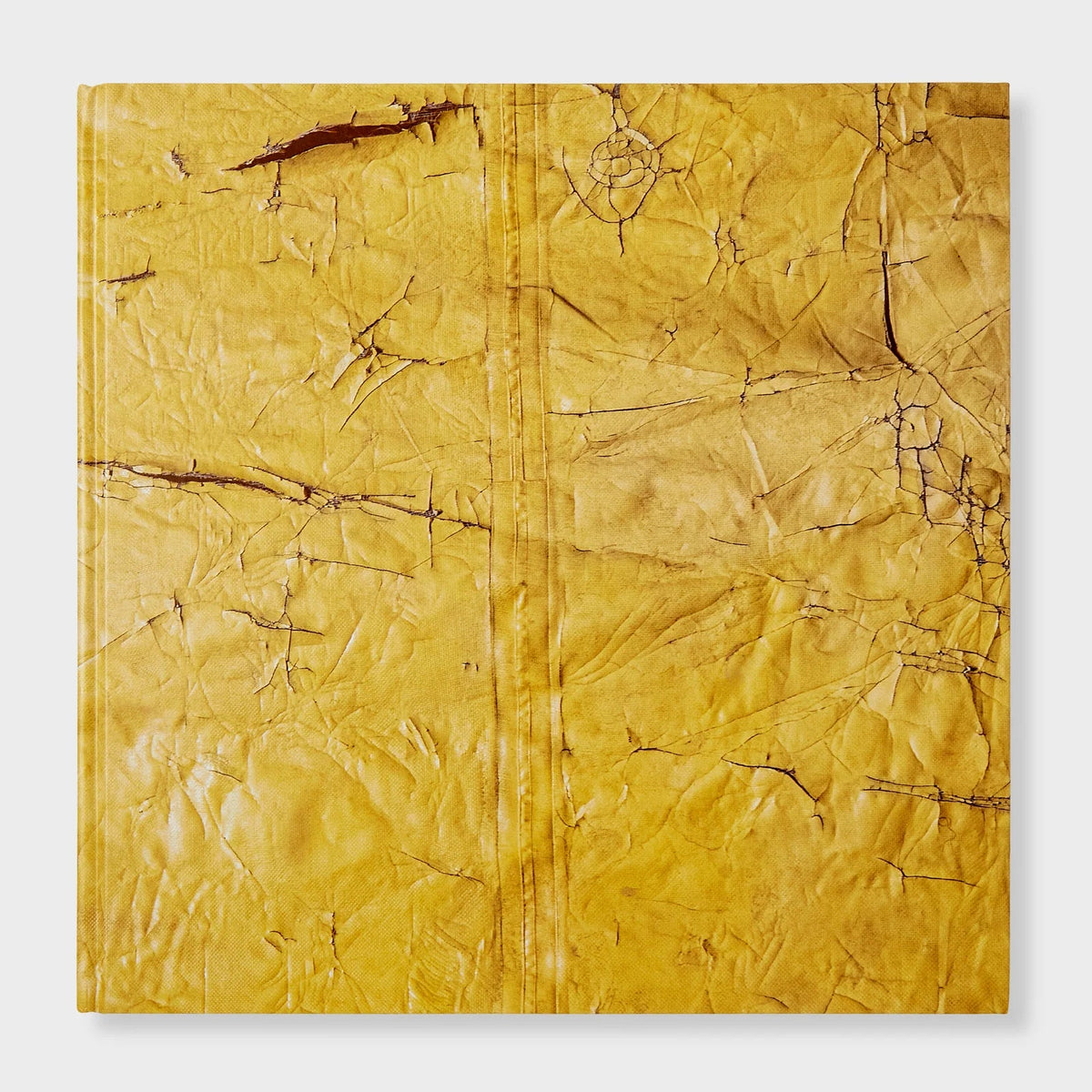 David Hammons
