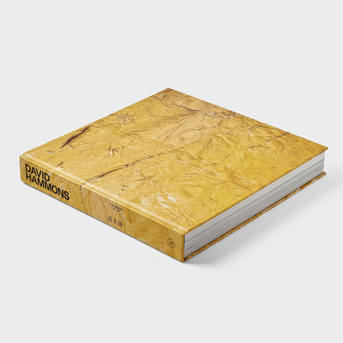 David Hammons