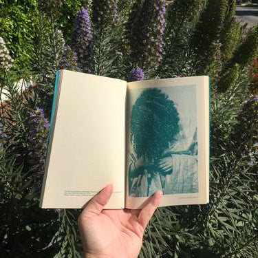 sonia louise davis: slow and soft and righteous, improvising at the end of the world (and how we make a new one)