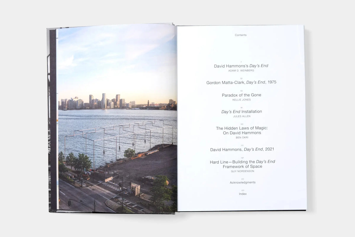 David Hammons: Day's End