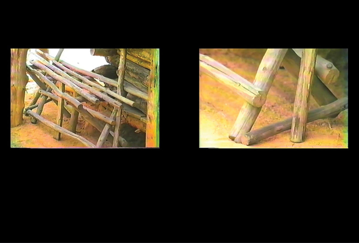 Beverly Buchanan, Athens, GA, 8 July 1995: A Video by Judith McWillie