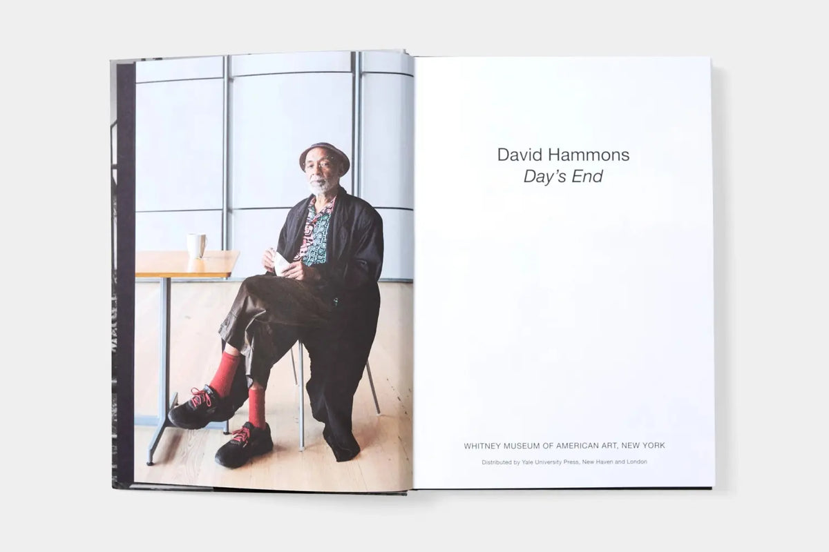 David Hammons: Day's End