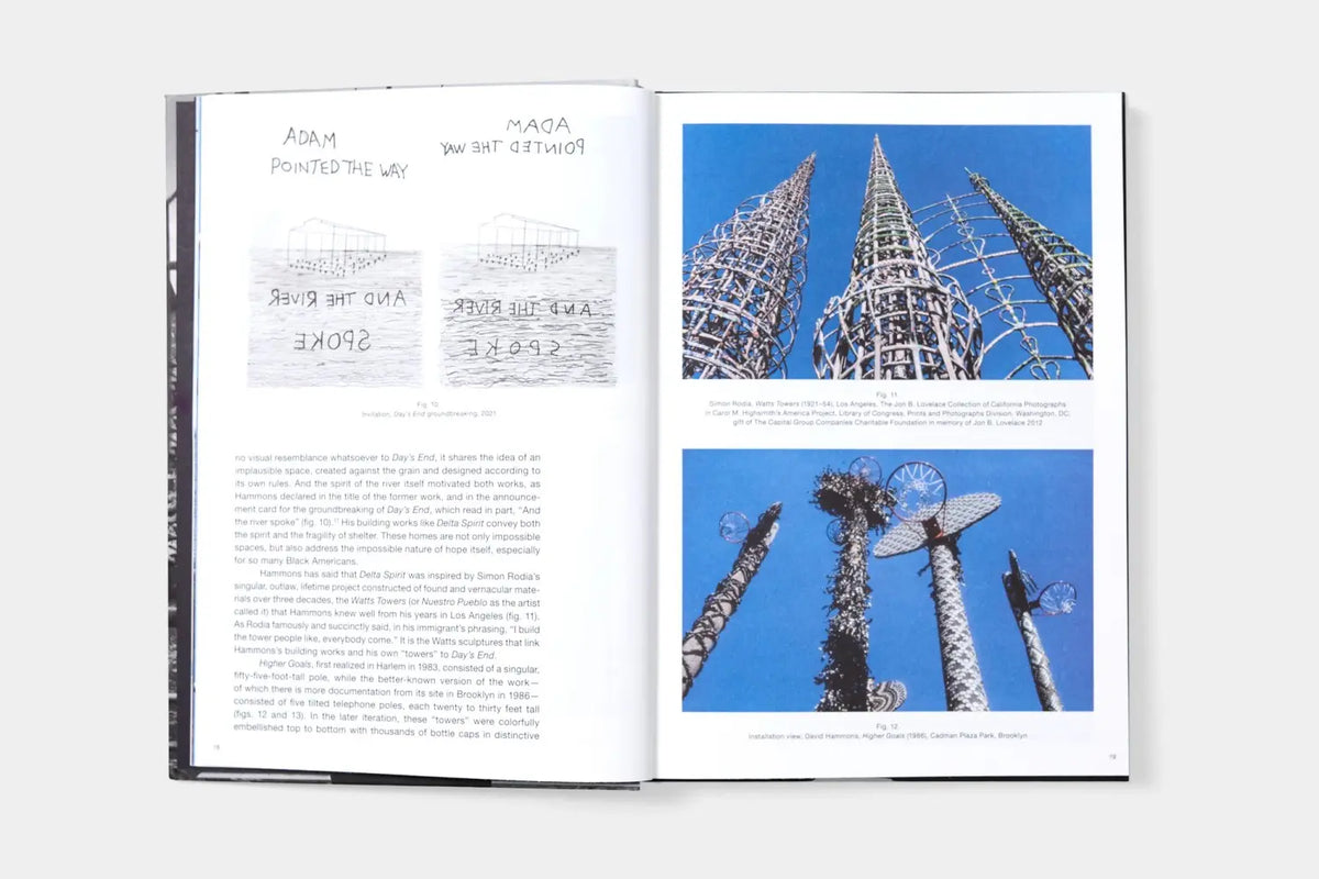 David Hammons: Day's End