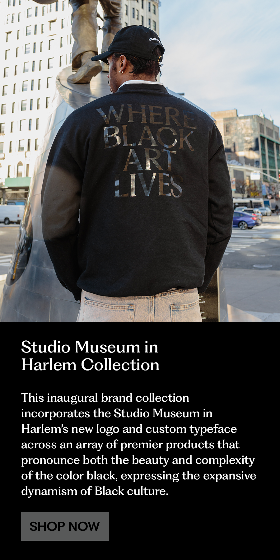 https://store.studiomuseum.org/cdn/shop/files/BrandMerch_mobile_c2b5fe16-eb1c-4aef-98c4-533dc84fbc6c_1600x.png?v=1702959612