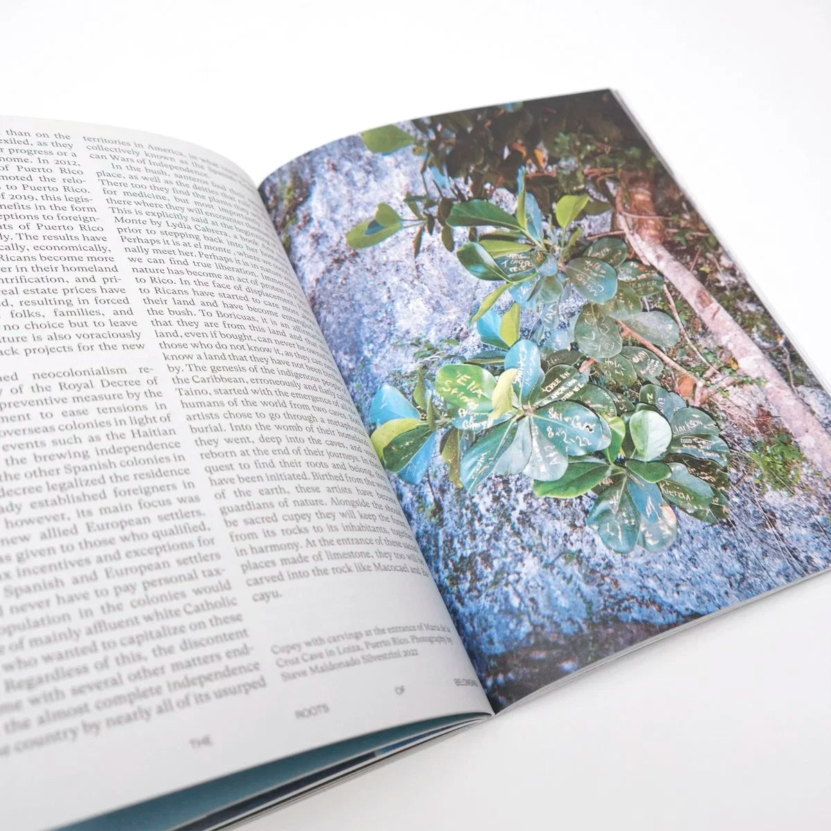 FORGOTTEN LANDS, Volume 05: The Haunted Tropics