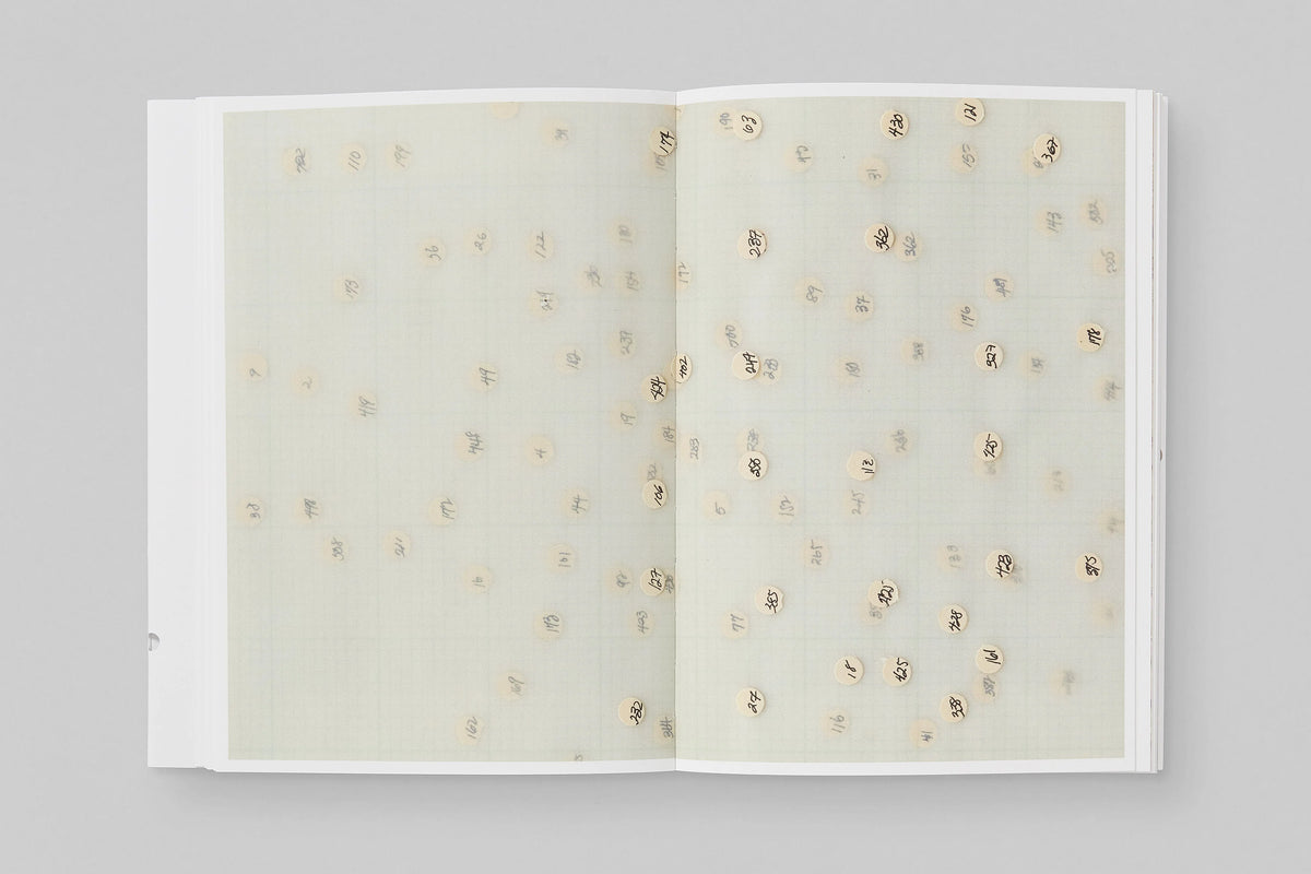 Howardena Pindell: Howardena