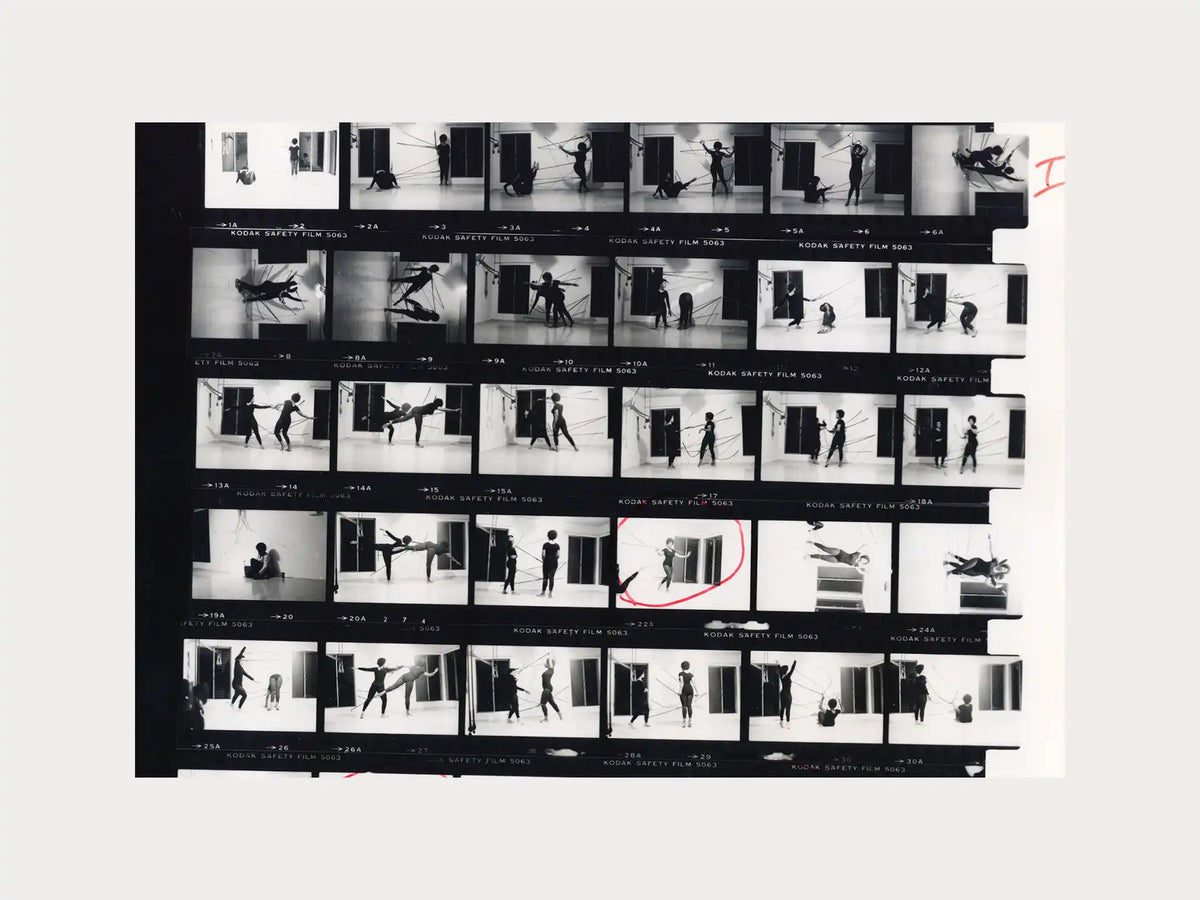 Las Vegas Ikebana: Maren Hassinger and Senga Nengudi