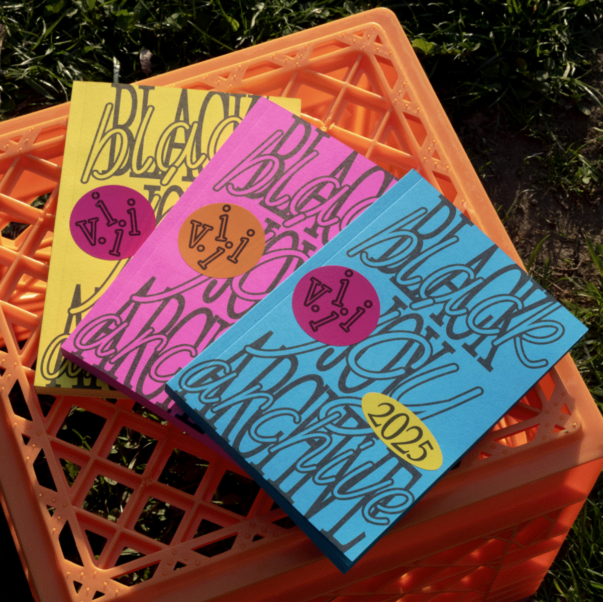 Black Joy Archive viii