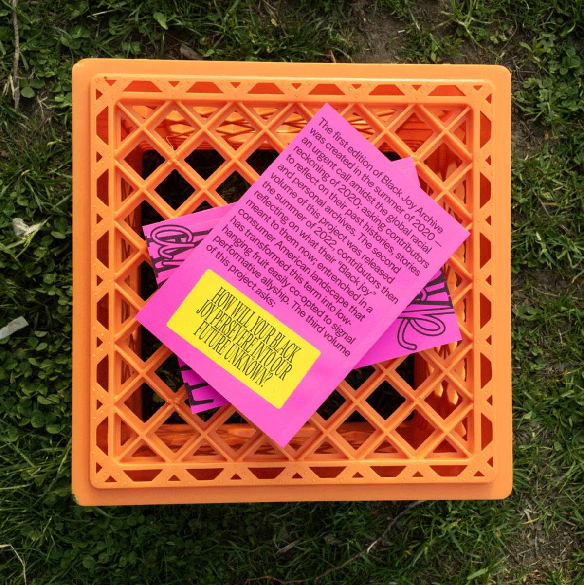 Black Joy Archive viii