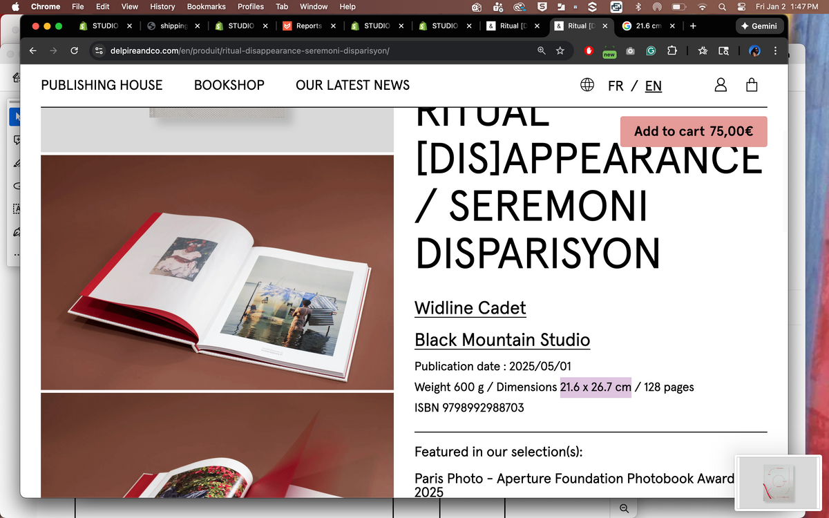 Widline Cadet, Ritual [Dis]Appearance / Seremoni Disparisyon