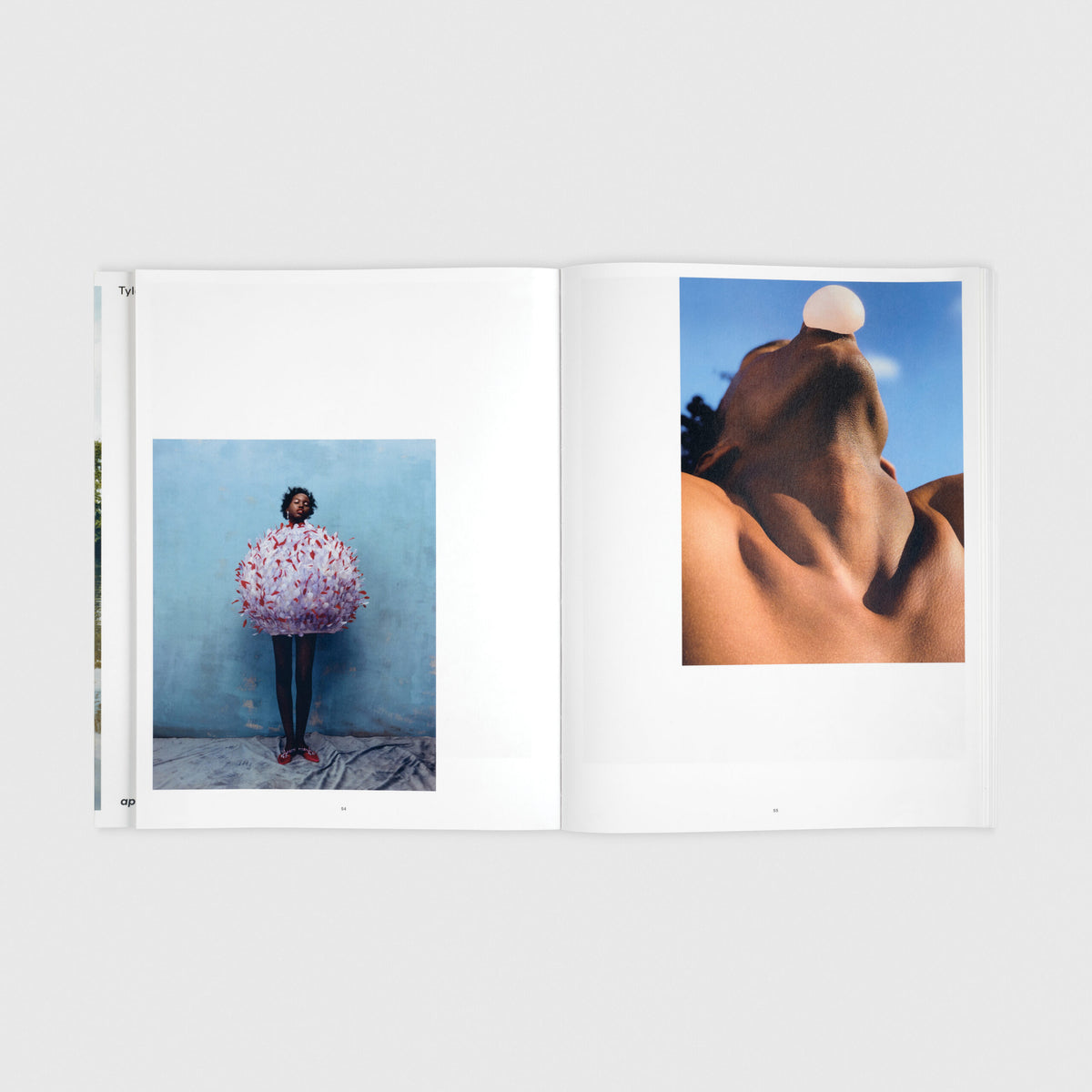 Tyler Mitchell: Wish This Was Real