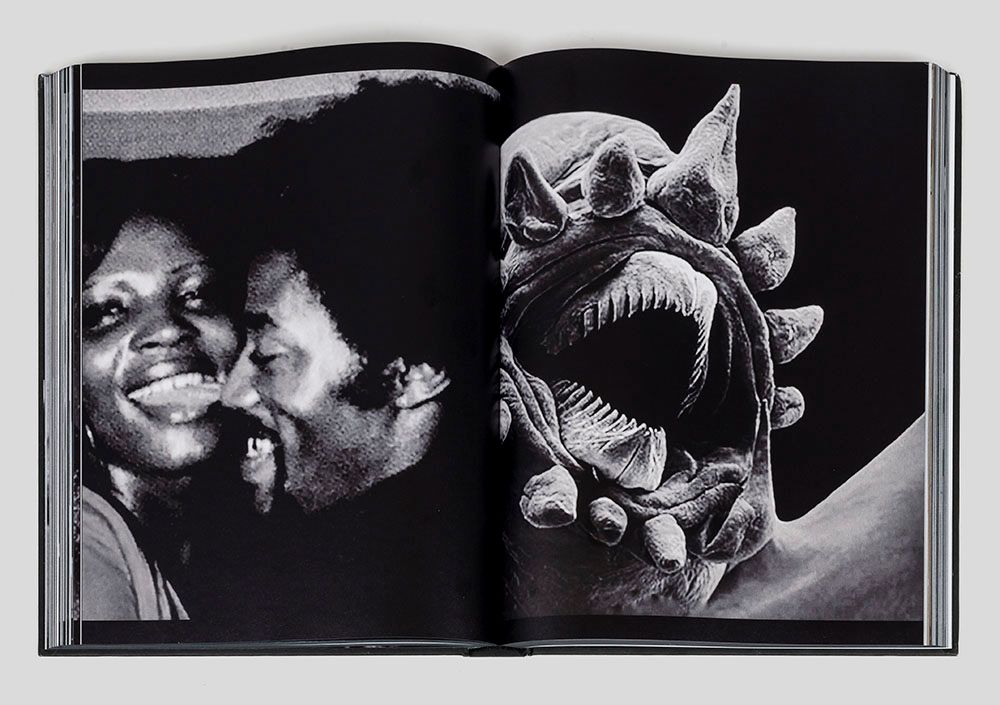 Arthur Jafa: Live Evil