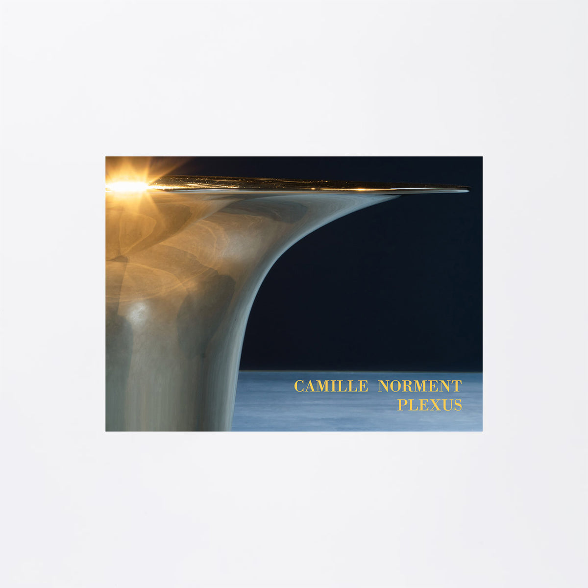 Camille Norment: Plexus