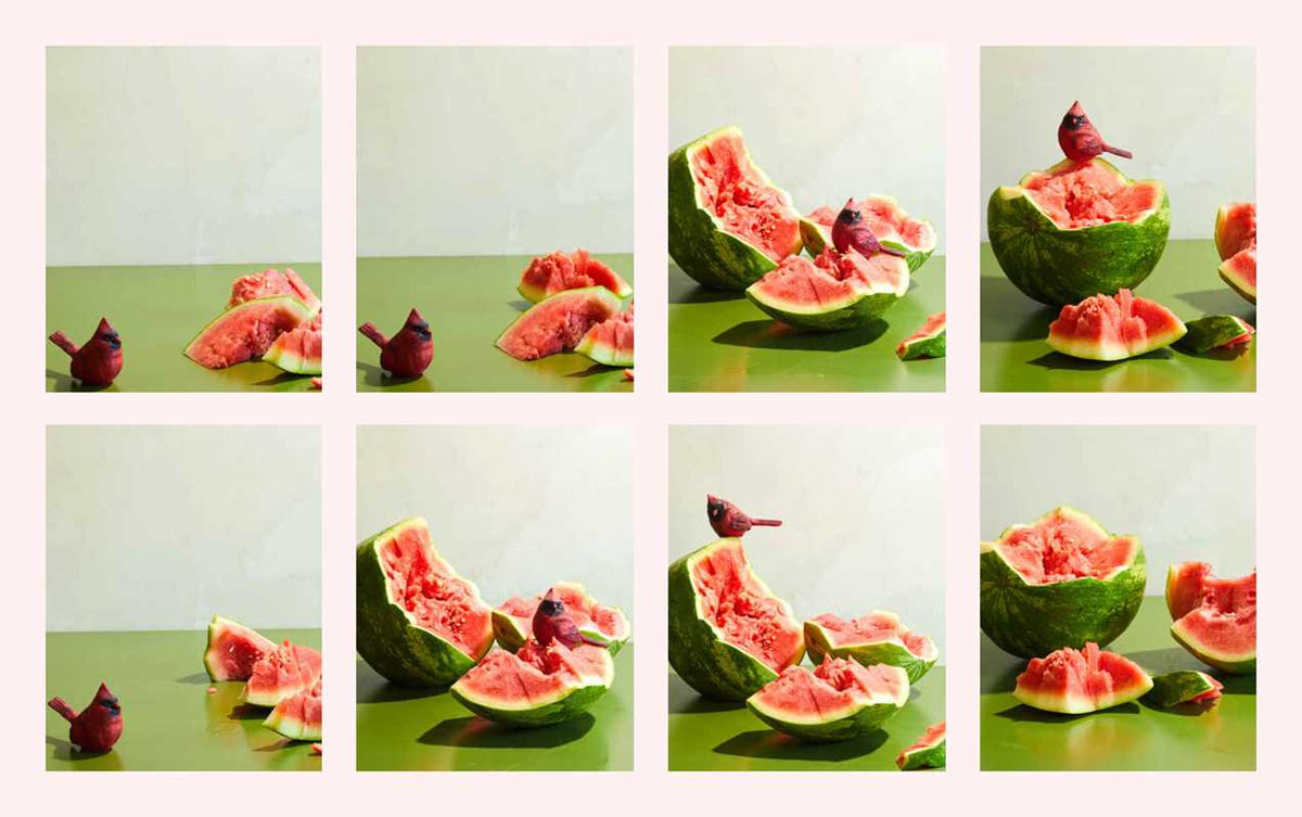 Watermelon and Red Birds