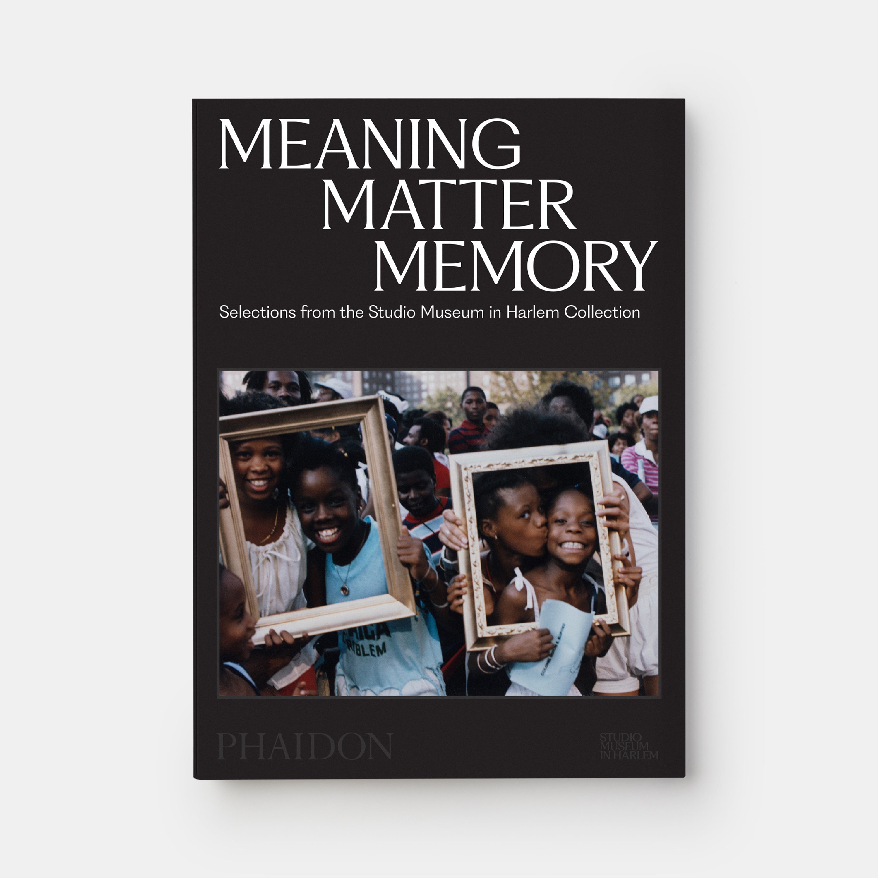 Meaning Matter Memory: Selections from the Studio Museum in Harlem